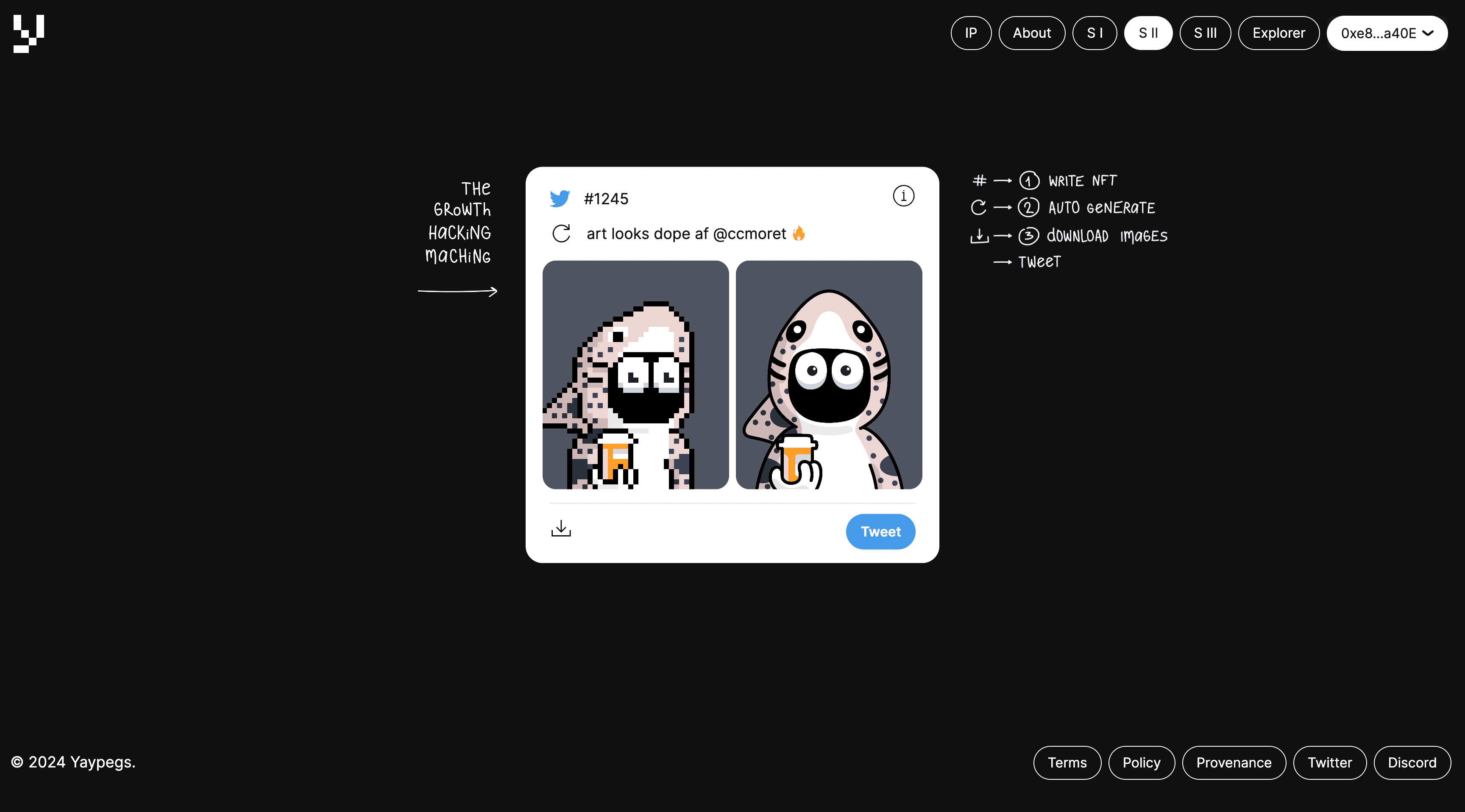 Yaypegs_16